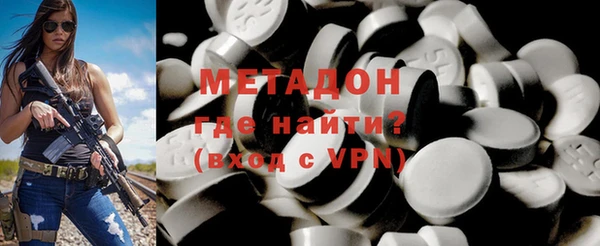 прущие грибы Дмитровск