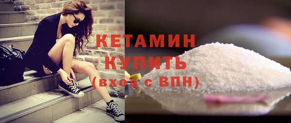 трава Гусиноозёрск