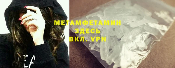 прущие грибы Дмитровск