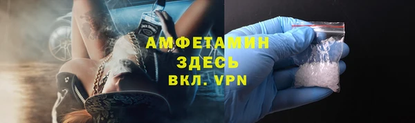прущие грибы Дмитровск