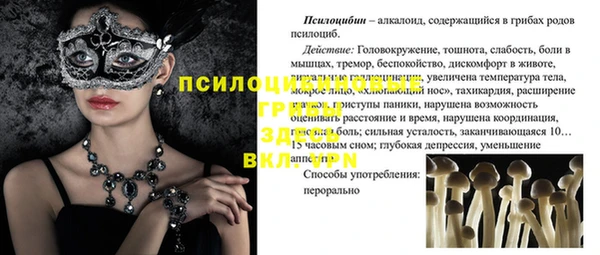 трава Гусиноозёрск