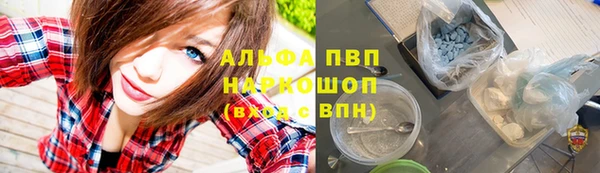 трава Гусиноозёрск