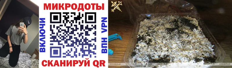 omg   купить наркотик  darknet наркотические препараты  Галлюциногенные грибы ЛСД  Заполярный 